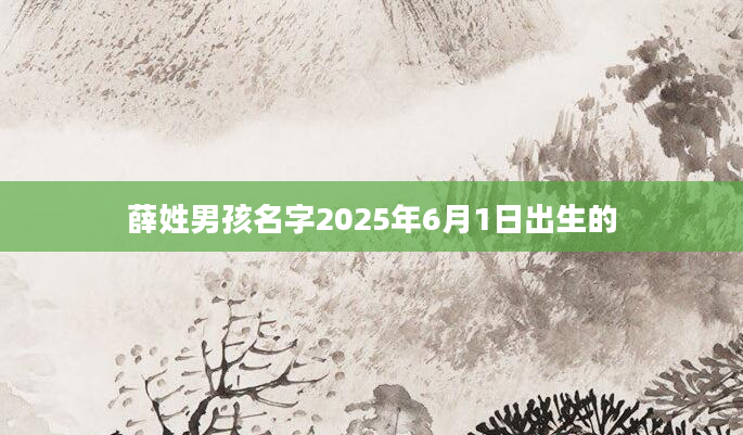 薛姓男孩名字2025年6月1日出生的