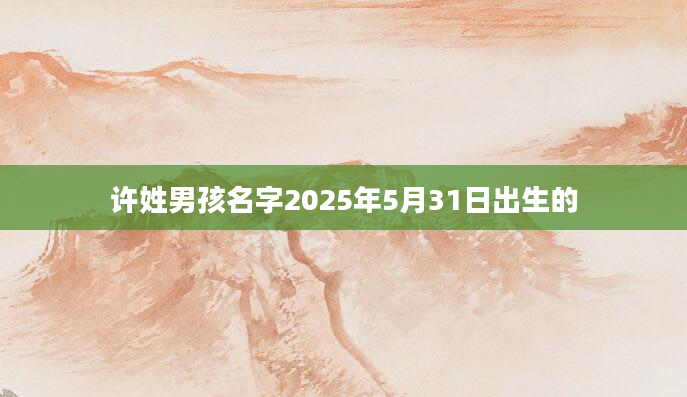 许姓男孩名字2025年5月31日出生的