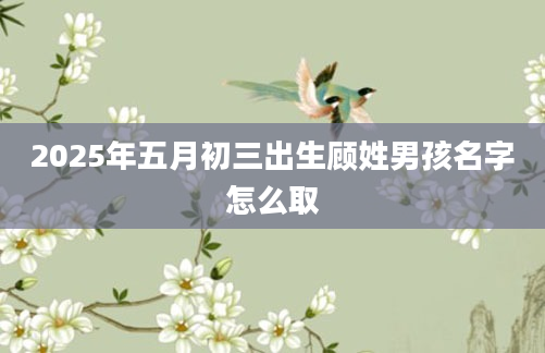 2025年五月初三出生顾姓男孩名字怎么取