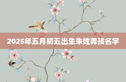 2025年五月初五出生朱姓男孩名字
