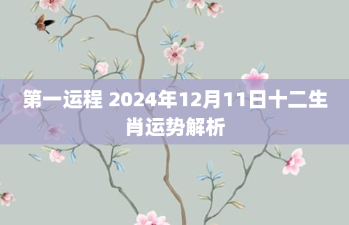第一运程 2024年12月11日十二生肖运势解析