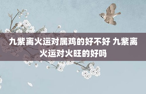 九紫离火运对属鸡的好不好 九紫离火运对火旺的好吗