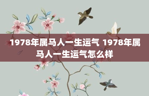 1978年属马人一生运气 1978年属马人一生运气怎么样