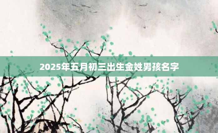 2025年五月初三出生金姓男孩名字