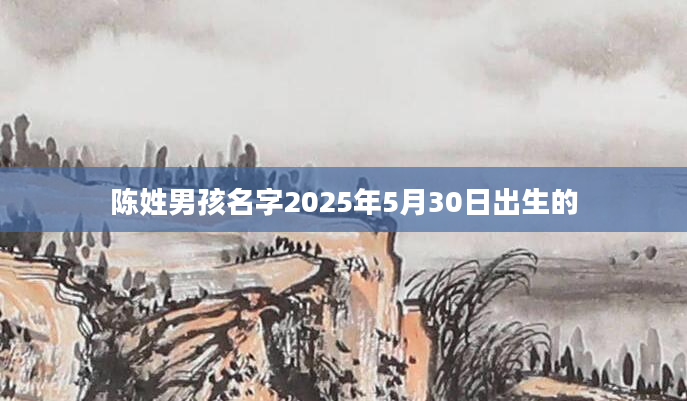 陈姓男孩名字2025年5月30日出生的
