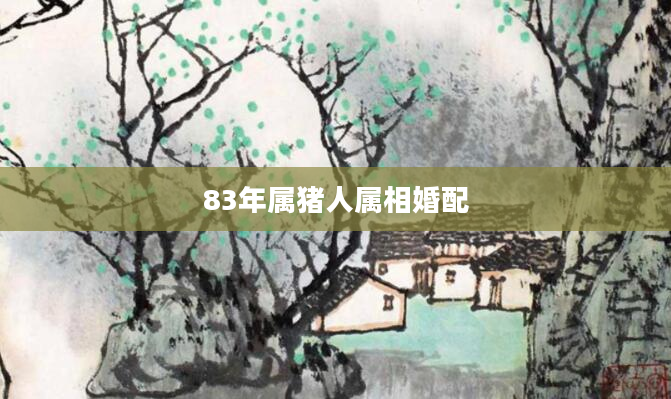 83年属猪人属相婚配