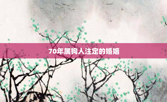 70年属狗人注定的婚姻
