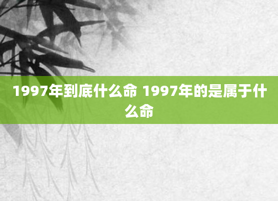 1997年到底什么命 1997年的是属于什么命