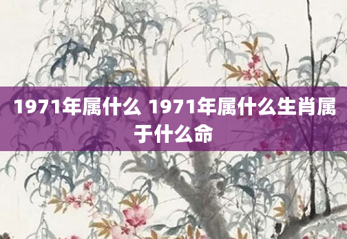 1971年属什么 1971年属什么生肖属于什么命