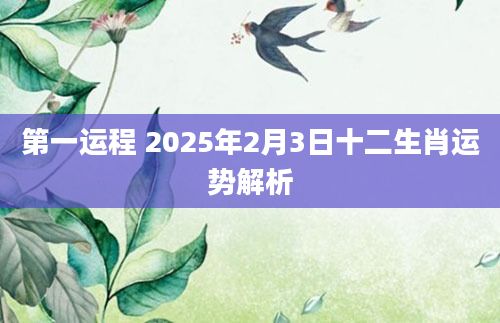 第一运程 2025年2月3日十二生肖运势解析