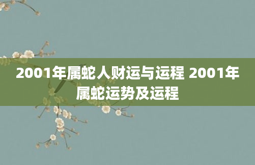 2001年属蛇人财运与运程 2001年属蛇运势及运程