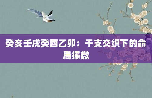 癸亥壬戌癸酉乙卯:干支交织下的命局探微