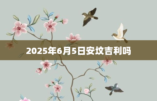 2025年6月5日安坟吉利吗