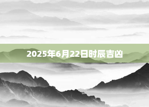 2025年6月22日时辰吉凶