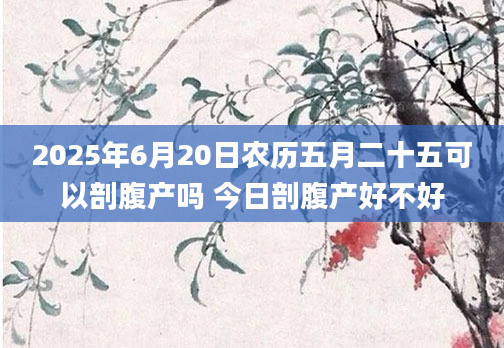2025年6月20日农历五月二十五可以剖腹产吗 今日剖腹产好不好