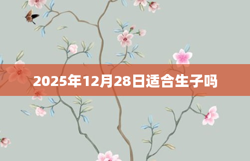 2025年12月28日适合生子吗