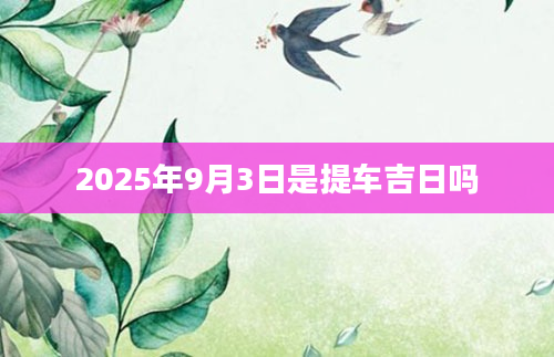 2025年9月3日是提车吉日吗