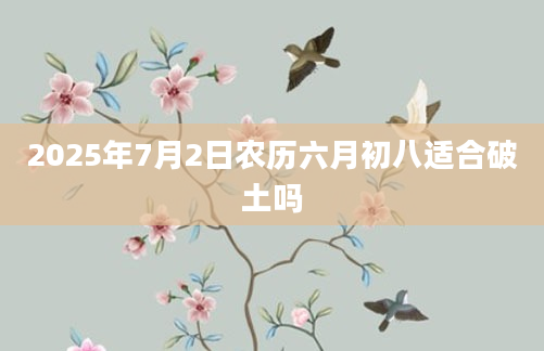 2025年7月2日农历六月初八适合破土吗