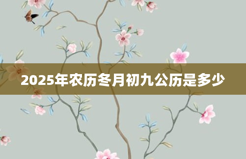 2025年农历冬月初九公历是多少
