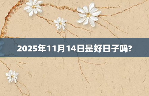 2025年11月14日是好日子吗?
