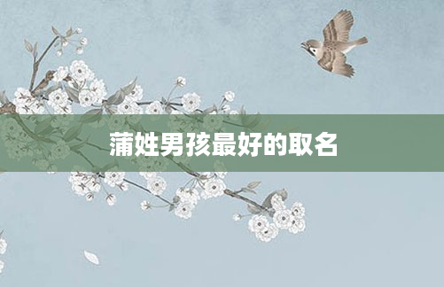 蒲姓男孩最好的取名